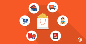Learn To Build Launch And Grow An Ecommerce Business Magenticians Learn To Build Launch And Grow An Ecommerce Business Magenticians