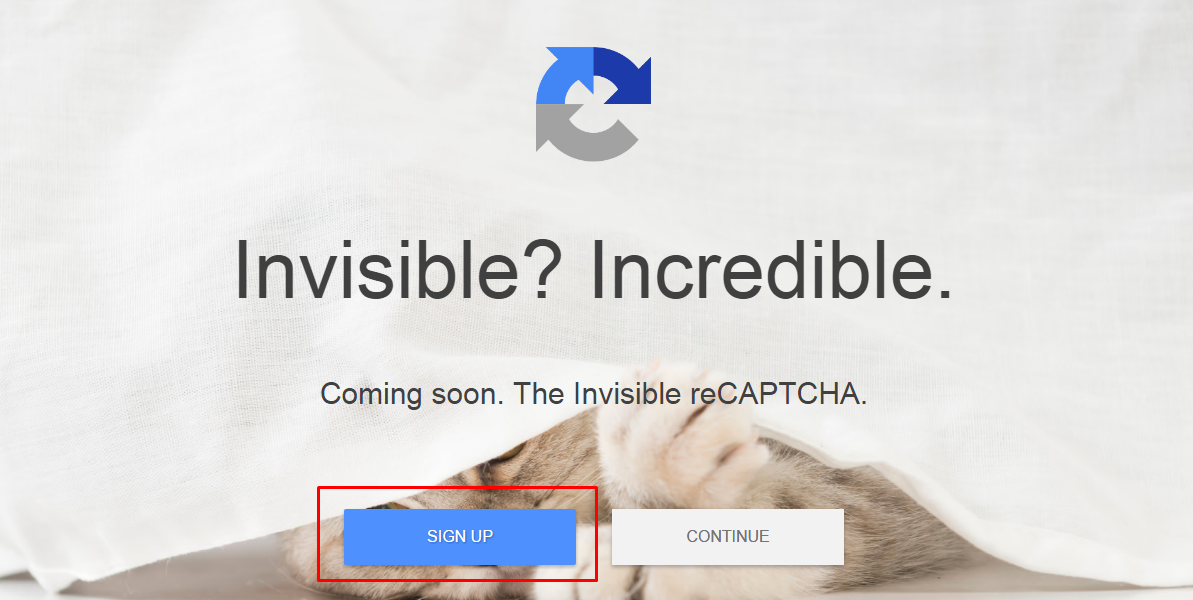 signup google captcha