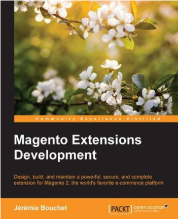 Magento Extensions Development