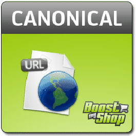 Canonical URL SEO